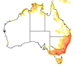 Map of Sugar Glider distribution