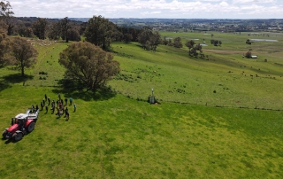 An aerial photo of an agricultural property.