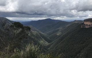 Mountains and native forests of Australia