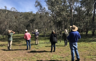 A group of citizen scientists bird watching in Australian bushland.