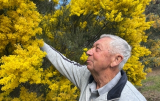 A man pictured standing next to a flowering wattle.