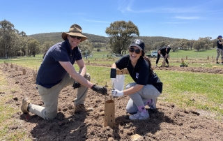 A man and a woman plant a native tree.